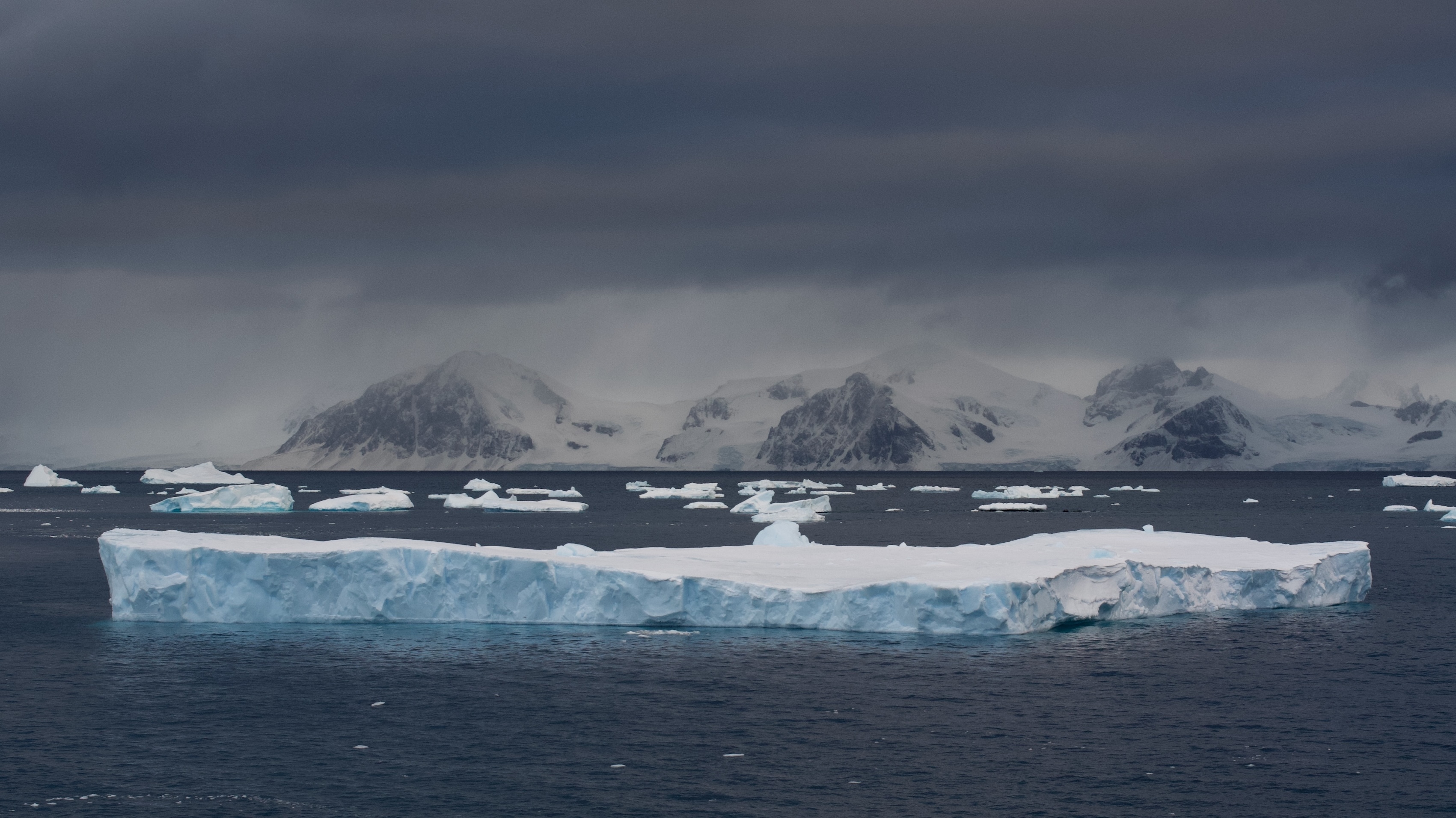 Antarctic sea ice